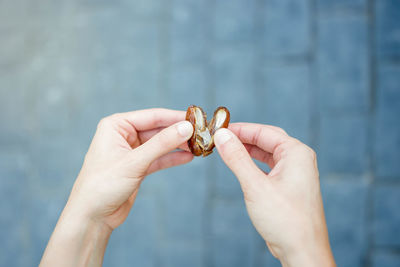 Midsection of woman holding seashell