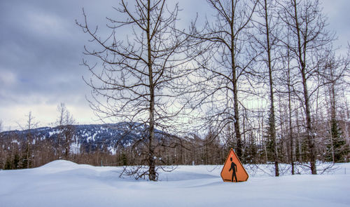 Bare trees on snow covered field against sky