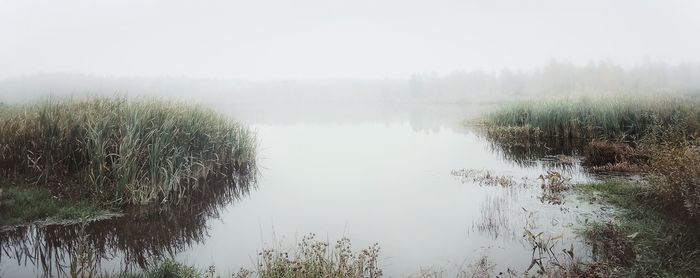 Reflection of plants in calm lake against sky during foggy weather