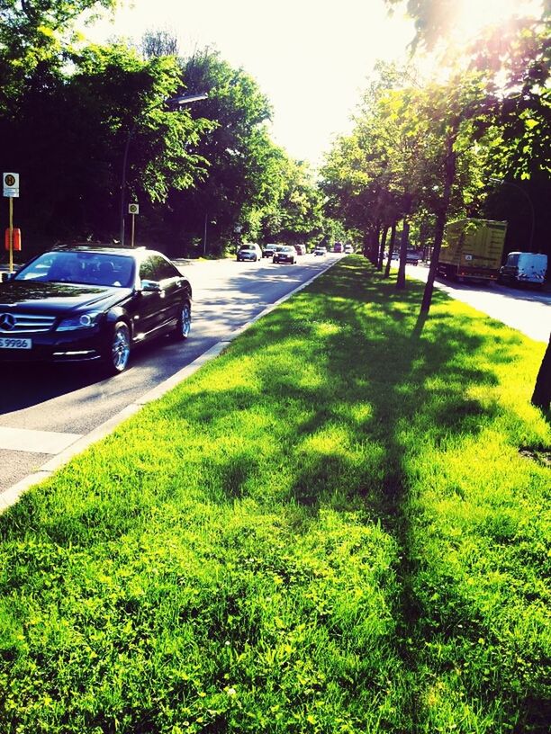 transportation, tree, car, land vehicle, mode of transport, grass, street, green color, sunlight, road, growth, day, shadow, outdoors, stationary, the way forward, parking, no people, incidental people, vehicle