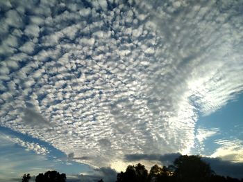 Low angle view of silhouette trees against sky
