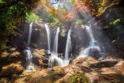 Scenic view of waterfall in forest