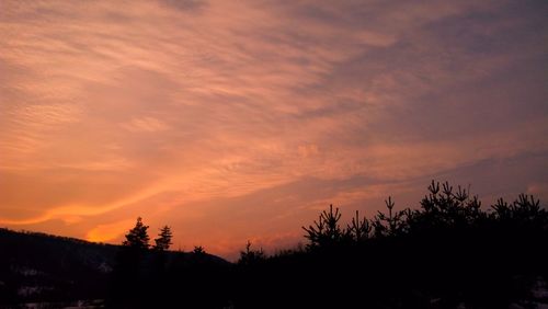 Silhouette trees against sky at sunset