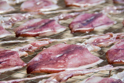 Close-up of squids on fishnet for drying outdoors