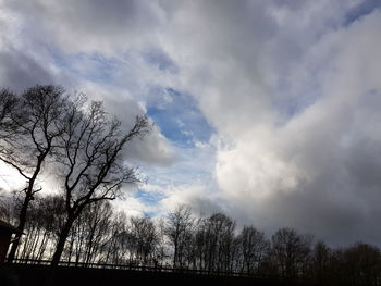 Low angle view of silhouette trees against sky