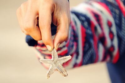 Close-up of hand holding crab