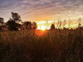 Scenic view of landscape at sunset