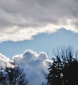 Low angle view of silhouette trees against sky