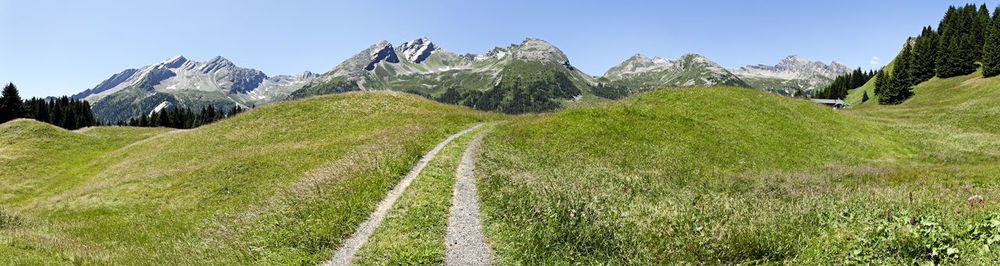 Scenic view of landscape against clear sky