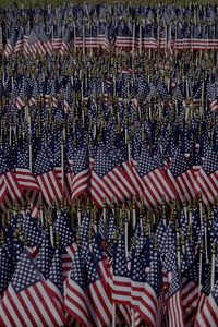 Full frame shot of flags