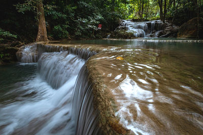 Scenic view of waterfall in forest