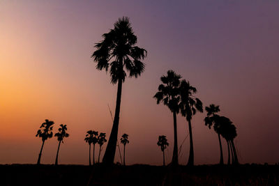 Silhouette palm trees against sky during sunset