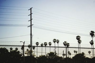 Power lines against trees