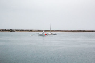 Sailboat sailing on sea against clear sky