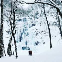 People on snow covered trees during winter