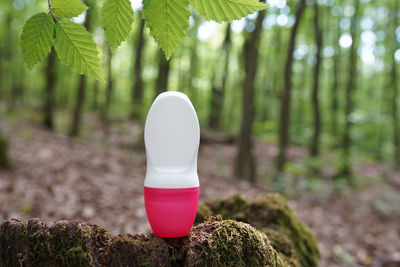Bottle for roll-on deodorant antiperspirant laying on the wood in the forest, beautiful nature
