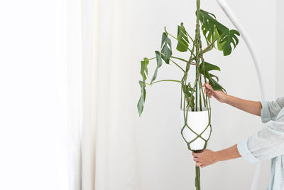 Handmade green macrame plant hangers with potted plant are hanging  with  monstera plant pot