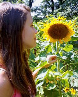 Portrait of young woman with sunflower against plants