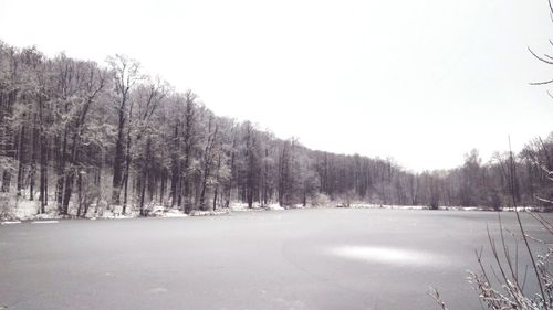 Trees on snow covered landscape against clear sky