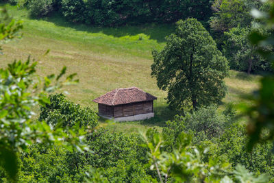 House amidst trees and plants growing on field