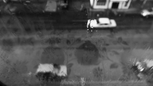 Close-up of wet car window