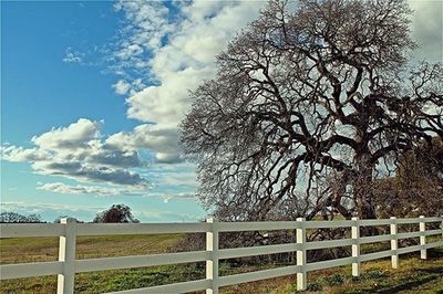 Scenic view of field against cloudy sky