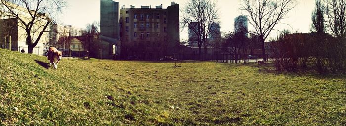 People walking on grass