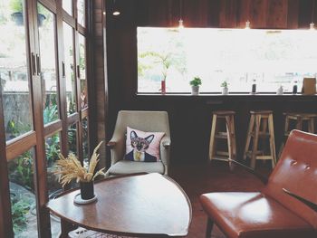 Potted plants on table at home