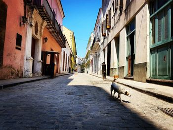 Street amidst buildings in city