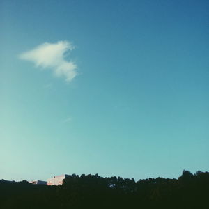 Low angle view of trees against blue sky
