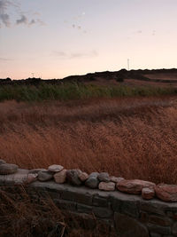 Rocks on field against sky during sunset