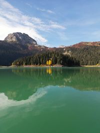 Scenic view of landscape with trees over a lake 