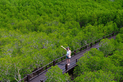 View from above of asian woman walking on wooden trail in mangrove forest during summer vacation