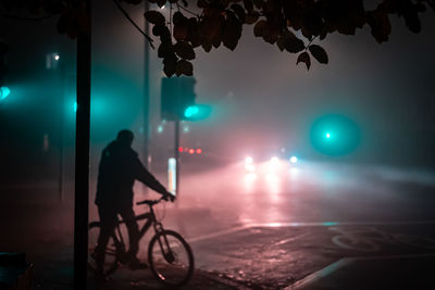 Rear view of man riding bicycle on street at night