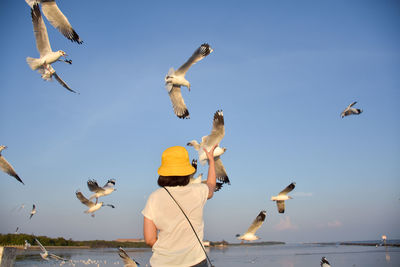 Low angle view of seagulls flying over sea against sky