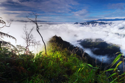 Scenic view of landscape against sky