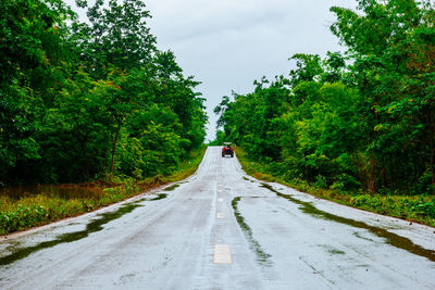 Empty road amidst trees in forest against sky