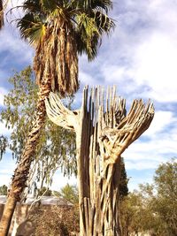 Low angle view of trees against sky