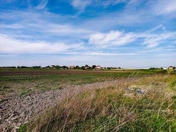 Scenic view of field against sky