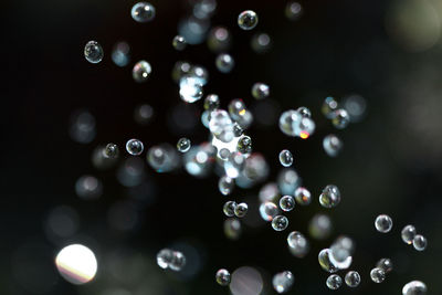 Close-up of water drops on bubbles