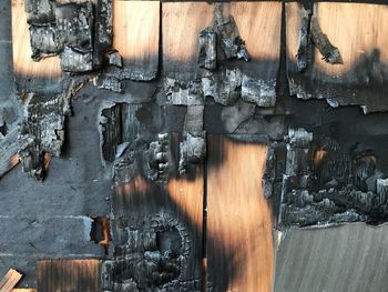 Close-up of rusty wood