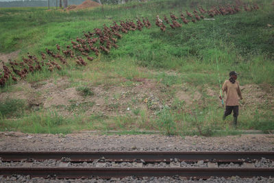 Rear view of man standing on railroad track