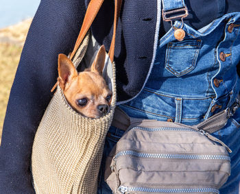 Midsection of woman with dog