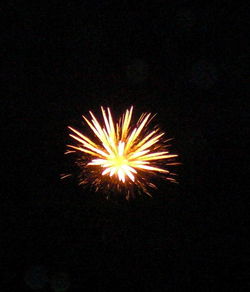 Illuminated firework display at night