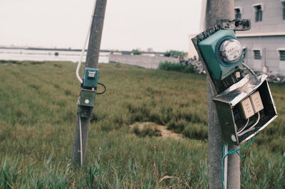 Close-up of grass on grassy field