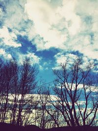 Low angle view of silhouette trees against sky