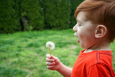 Close-up of boy holding dandelion against blurred background