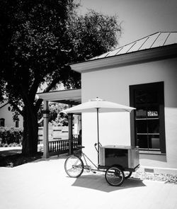 Bicycle against trees in city