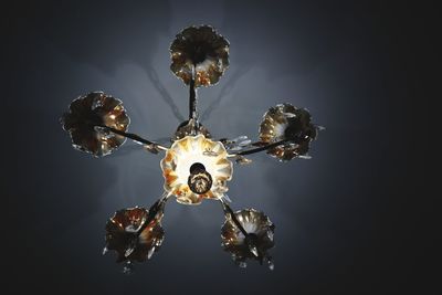 Low angle view of illuminated chandelier