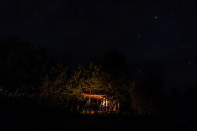 Silhouette trees on illuminated landscape against sky at night